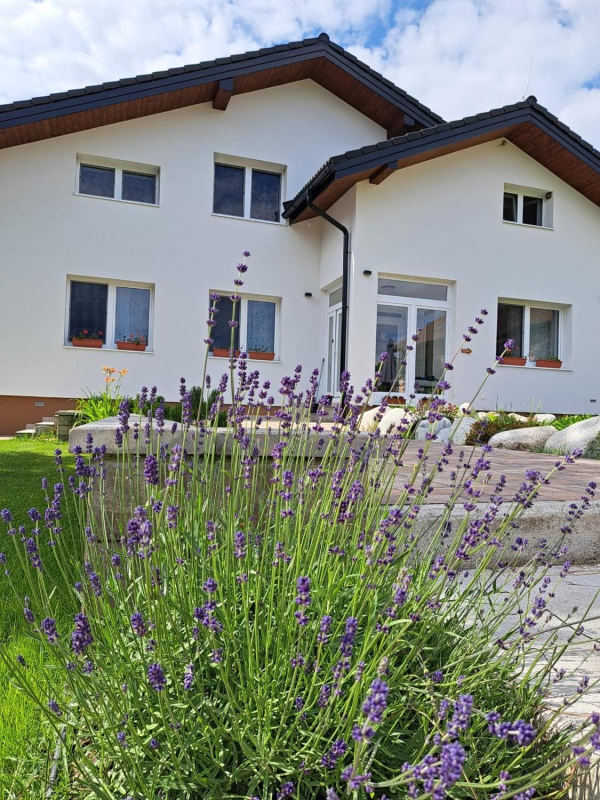 Ziar Apartmany 43 Exterior photo